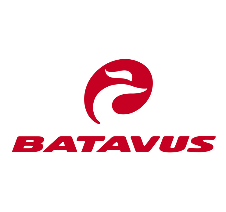 pictogram batavus